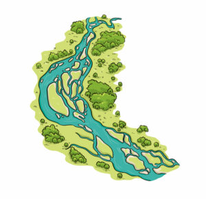 illustration en couleurs de cours d'eau ramifiés
