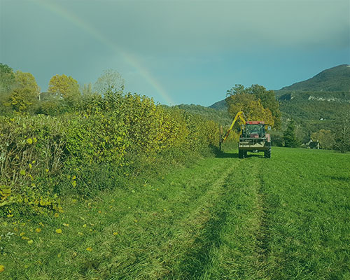 un tracteur sur un terrain avec la colline en fond et un arc en ciel