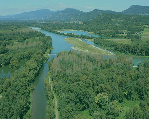 Un paysage du Haut-Rhône vu de haut avec la forêt, le fleuve et les collines au loin