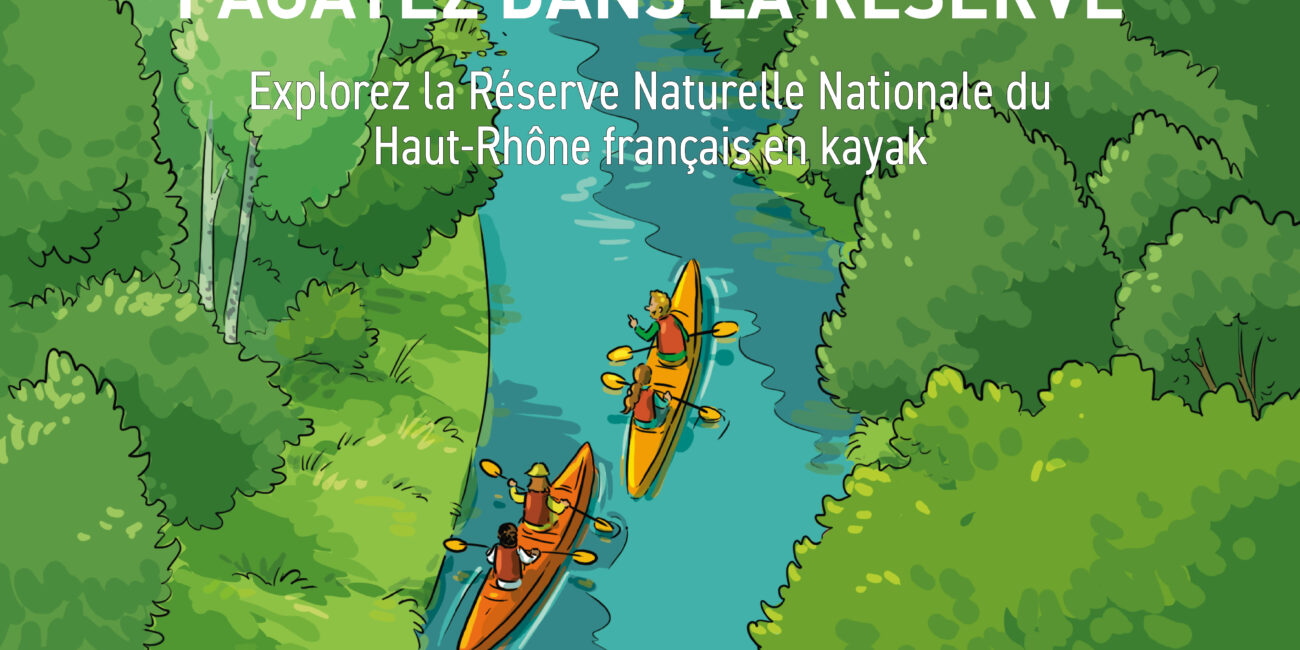 Kayak réserve naturelle