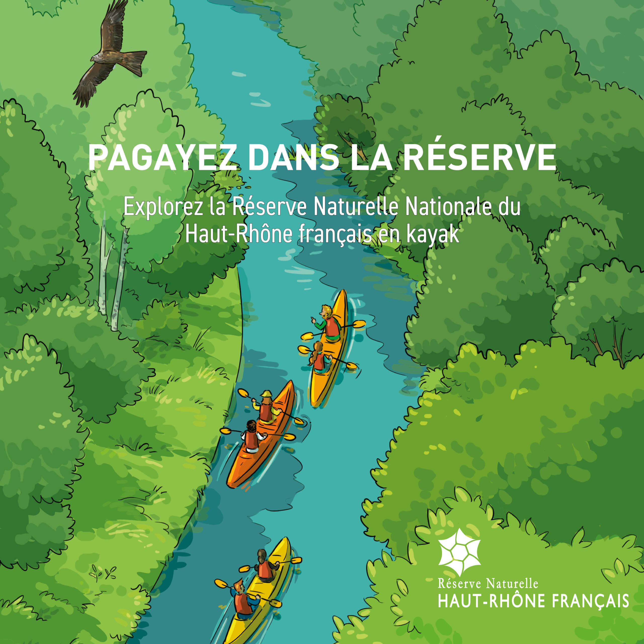 Kayak réserve naturelle