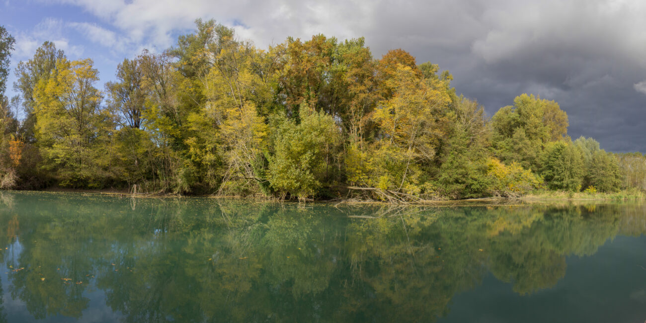 travaux forestiers réserve naturelle du haut-rhône