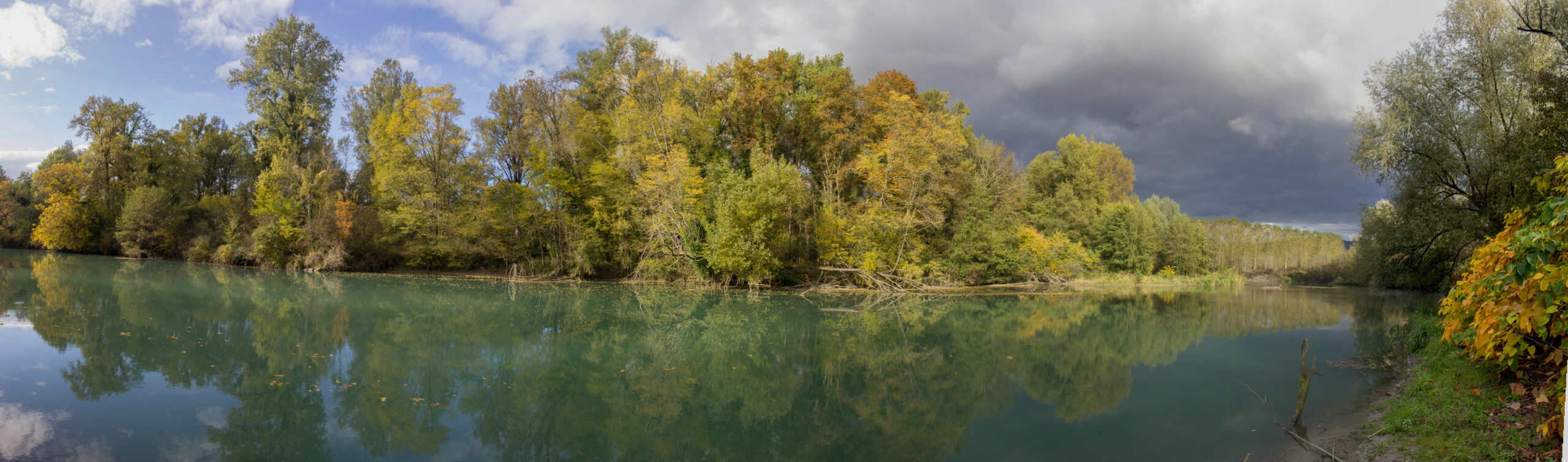 travaux forestiers réserve naturelle du haut-rhône