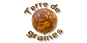 TDG